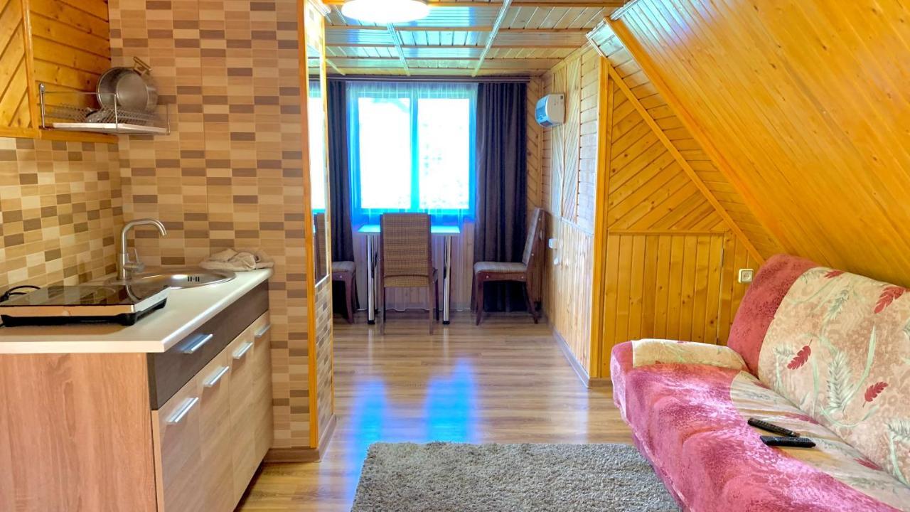 Апартаменти Для Двох Verkhovyna Εξωτερικό φωτογραφία